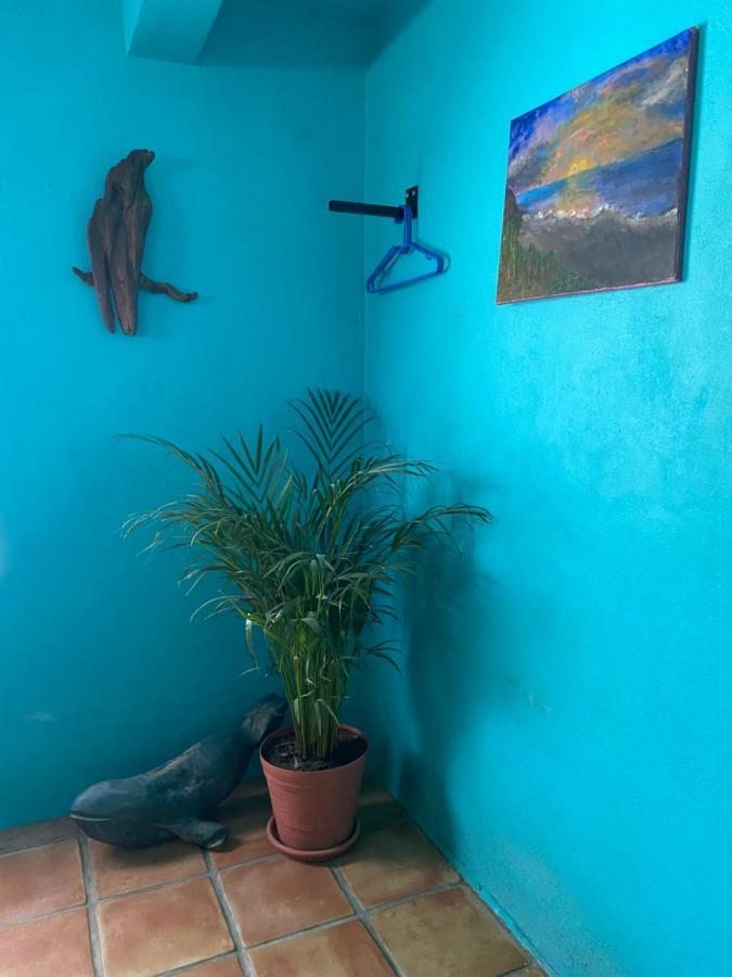 Casa Xochitl Acomodação com café da manhã El Centenario Exterior foto